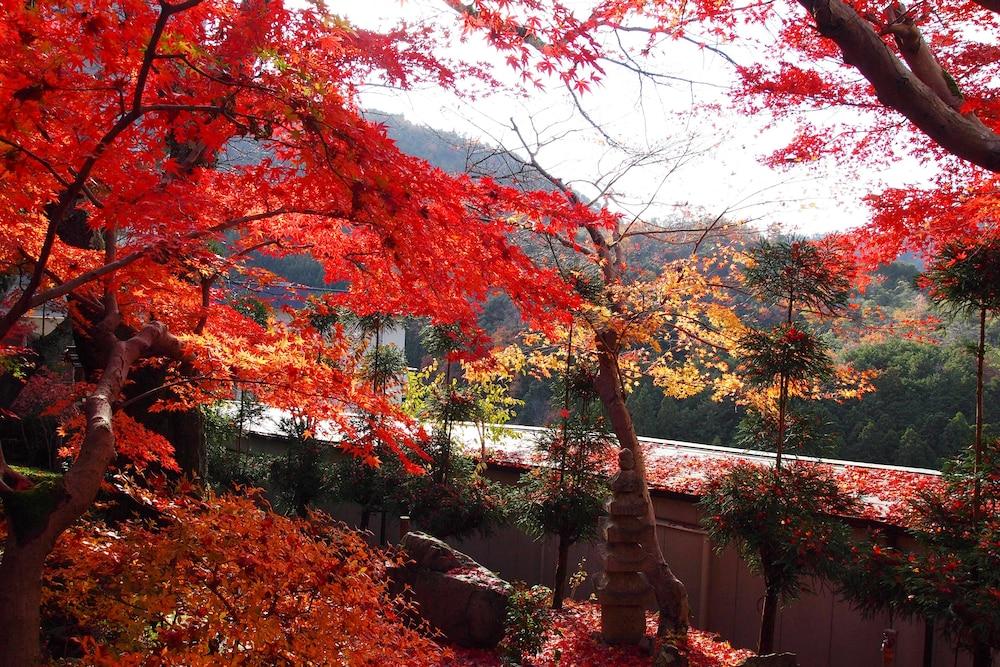 Ryokan Nenrinbo Hotel Kyoto Exterior foto